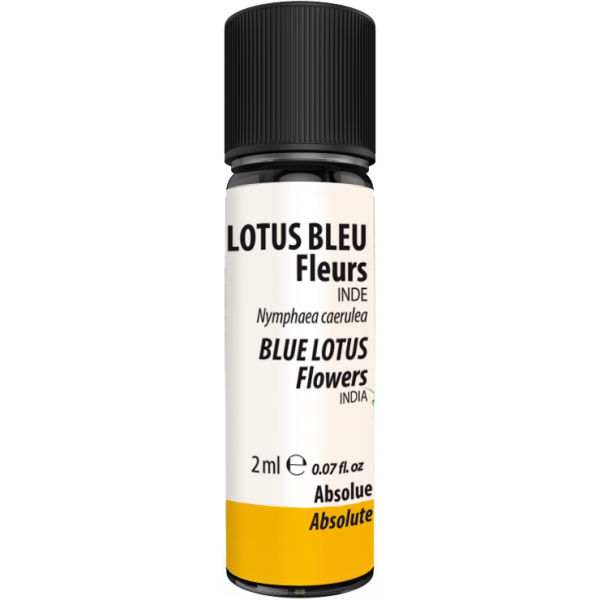 Absolue Lotus bleu Inde